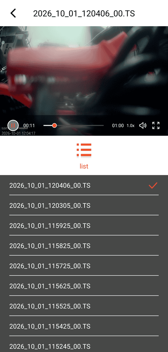 Playback of a file; the list below jumps to neighbouring files